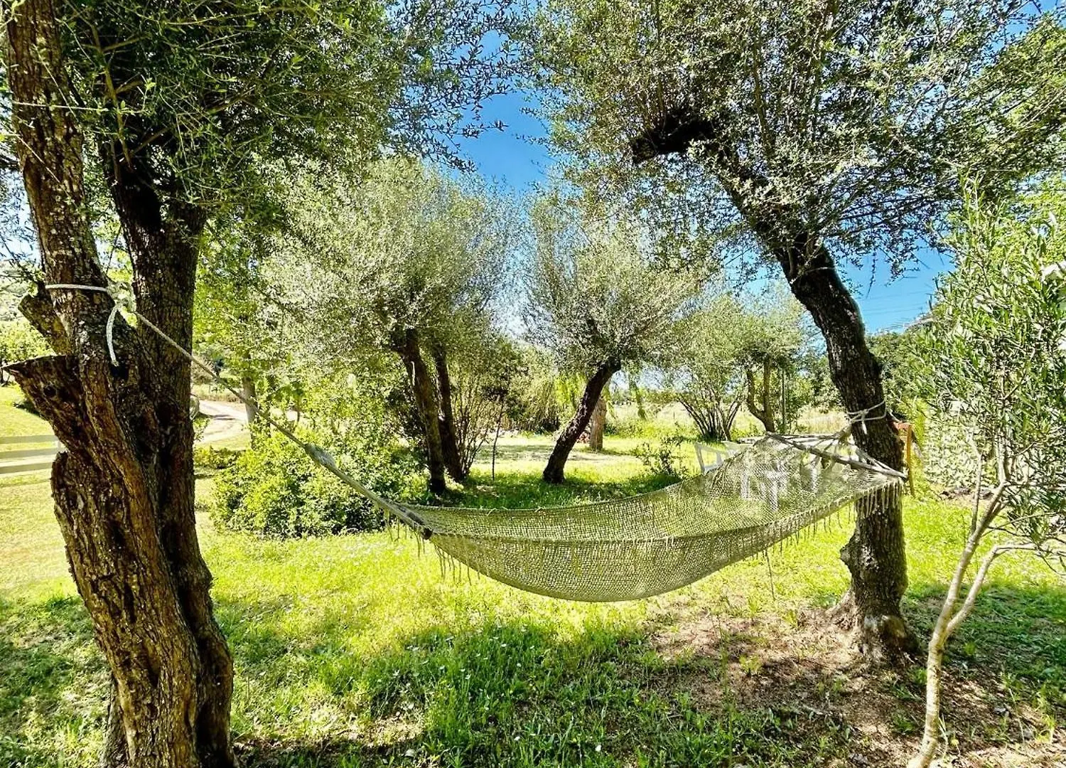 산판탈레오 Oasi Di Pace E Relax 아파트 0*,